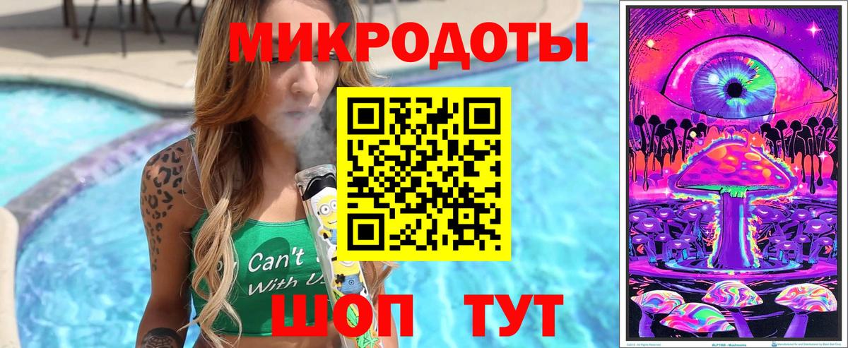 Галлюциногенные грибы Psilocybe Ессентуки
