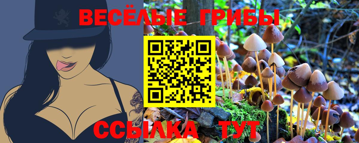 Галлюциногенные грибы Cubensis  Вход с VPN  Псилоцибиновые грибы MAGIC MUSHROOMS  Ессентуки 
