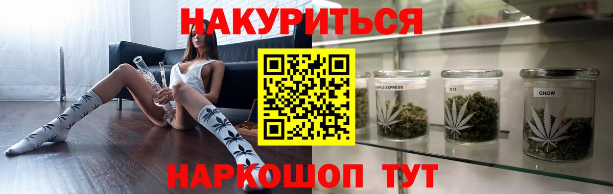 Каннабис план Ессентуки